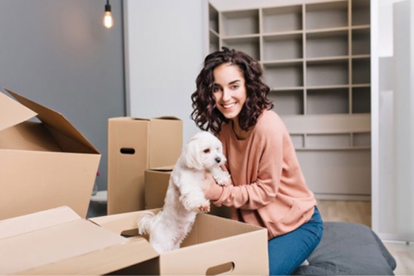 pet-relocation
